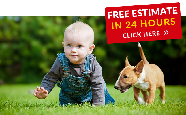 Get a Free Estime in 24 Hours - Click Here - See our Yelp Reviews on Lawn Out Loud - Professional Lawn Care and Landscaping Services in South Florida, Fort Lauderdale